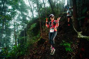 BIB: 
                            <button type="button" onclick="openModal(26232345)" class="btn btn-primary btn-sm float-right btn-popup" data-toggle="modal" data-target=".modal-high-quality">
                        <i class="fas fa-shopping-cart"></i> Add to Cart
                    </button>
                                            <button type="button" onclick="isThisMe(26232345, true)" class="btn btn-success btn-sm float-right btn-popup btn-isme hidden" data-toggle="tooltip" data-placement="bottom" title="นี่คือรูปของคุณใช่ไหม คลิกที่นี่เพื่อเอาเข้าอัลบั้ม">
                        <i class="fas fa-plus"></i> Add to album
                    </button>
                    <button type="button" onclick="isThisMe(26232345, false)" class="btn btn-warning btn-sm float-right btn-popup btn-isnotme hidden">
                        <i class="fas fa-ban"></i> Remove from album
                    </button>